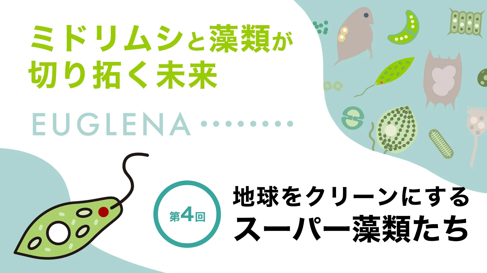 ミドリムシって、そもそもどんなやつ？【ミドリムシと藻類が切り拓く